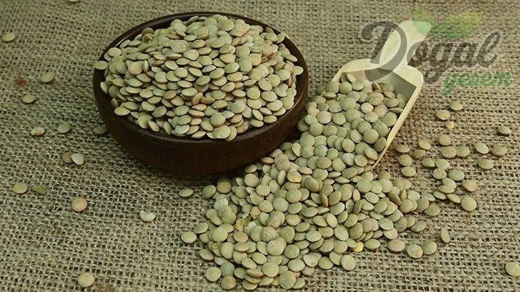 Ata Tohum Yeşil Mercimek