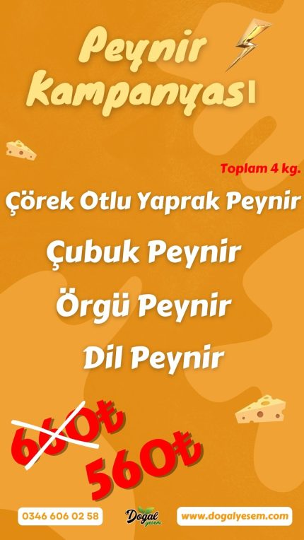 Peynir Kampanyası